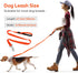 LED Light Up Dog Leash, USB Rechargeable, 3 Lighting Modes, Glow in The Dark for Pets