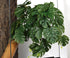 WOLEDOE 2Pack Reptile Fake Plants for Terrarium, Snake Tank Accessories, Habitat Decor Artificial Hanging Plants