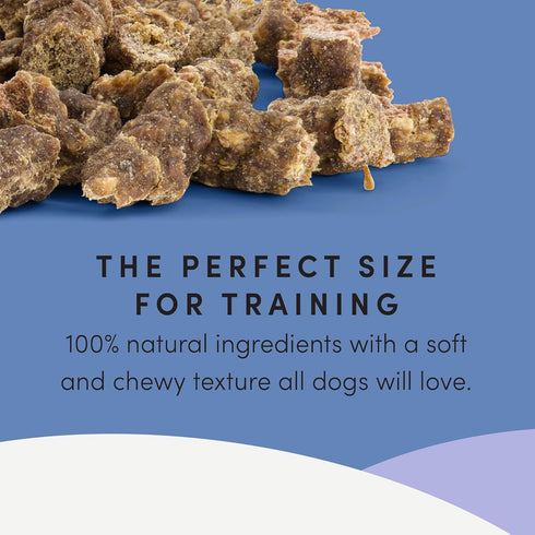Crumps' Naturals Mini Trainers, Semi Moist Beef, 10.6oz