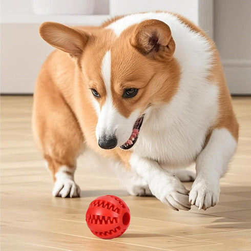 Genrico Dog Treat Dispenser Toy, Treat Dispense Dog Toys | Food Treat Dispenser Ball Puzzle,Puppy Stimulation Toys