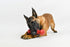 Pet Qwerks Bongo BarkBone, Nylon Dog Bone for Aggressive Chewers, Prime Rib Flavor, Medium