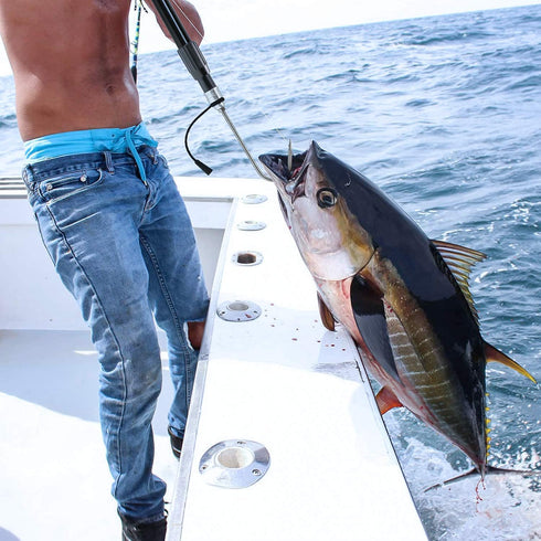 SAN LIKE Telescopic Fishing Gaff, Aluminum/Fiberglass Pole with Nonslip Rubber Handle and Stainless Steel Hook