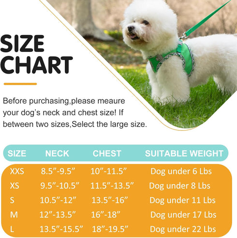 Dog Harness and Leash Set, Soft Breathable No Pull Adjustable Reflective Step in Vest for Small Dogs, Cats, Puppy