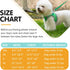Dog Harness and Leash Set, Soft Breathable No Pull Adjustable Reflective Step in Vest for Small Dogs, Cats, Puppy