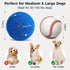 2 Pack Interactive Dog Balls - Auto Moving Bouncing Vibrating Washable Dog Toys for Large Medium Dogs, Type-C