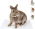 Niteangel 2pcs Rabbit Cage Mat: Durable Foot Pads for Bunny, Guinea Pigs, Chinchillas, Cats, Dogs & Small Pets