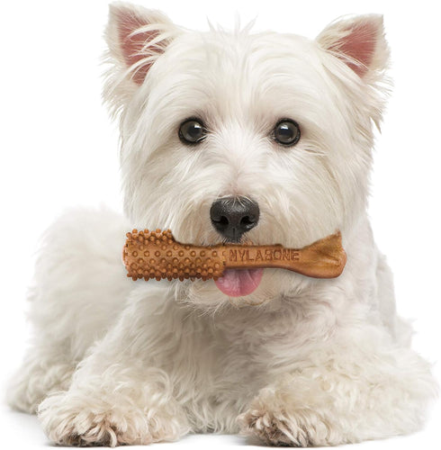 Nylabone Nutri Dent Dog Dental Chews, Small, 64 Count, Natural Teeth Cleaning & Breath Freshener