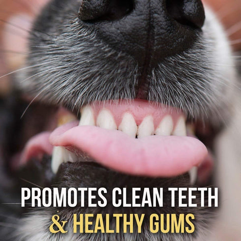 Bullysticks Organic 6" Bully Sticks for Dogs - All Natural Dog Treat, USDA Approved (10 Pack)