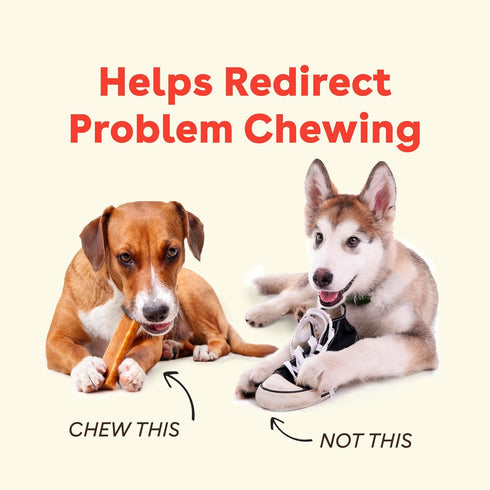 Pupford Yak Cheese Chews for Dogs & Teething Puppies, Natural Long-Lasting Himalayan Dental Treats, 3 Pack Small
