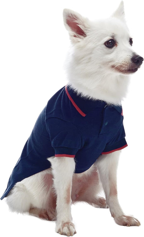 Blueberry Pet Back to School 2-Pack Dog Polo Shirts - Cotton Outfit for Small Pets, Navy + Rusty Red