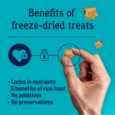 Stewart Freeze Dried Dog Treats, Wild Salmon, 2.75 oz - Grain Free, Resealable Pouch, Single Ingredient