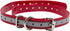 Replacement ¾” Collar Strap Bands | Double Buckle Loop Training for All Brands of Pet Shock Bark Collars