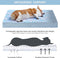 WNPETHOME Orthopedic Large Dog Bed, Egg Foam Crate Pet Bed with Soft Rose Plush Waterproof Cover (36*27*3in)