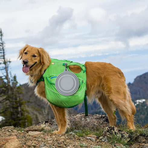 Collapsible Dog Water Bowl, Large 34oz No Spill Portable Pet Bowl for Travel, Less Splash for Road Trips