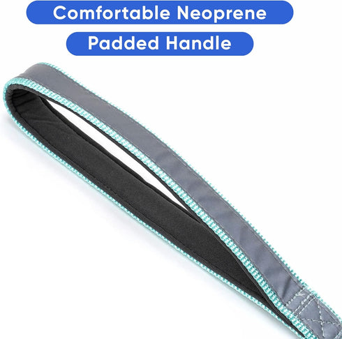 Pawtitas 6 FT Padded Dog Leash, Comfortable Neoprene Padding Handle, Teal Lead for Medium and Large Dogs