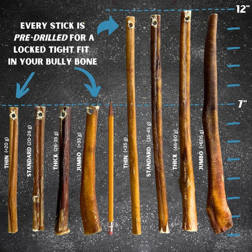 7" Standard Bully Sticks (10 Pack) with Safety Device - All Natural Pizzle Sticks, No Choking, Bully Stick Holder