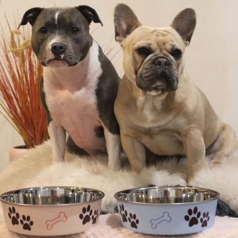Loving Pets Bella Dog Bowls, Stainless Steel, Spill Proof Dog Food Bowl, Cat Bowl, Medium 20-25 lbs, Murano Blue