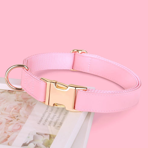 PET ARTIST Soft & Comfy Girl Dog Collars, Bright Classic Pink Leather for Medium Dogs, Heavy Duty Nylon with Quick