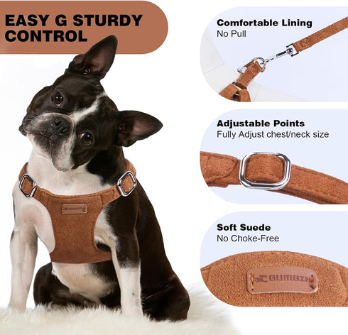 XXS Dog Harness and Leash Set, Adjustable No Pull Puppy Harness with Multifunction Brown Leash & Collar for Small Dogs