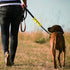 Funny Dog Leash Sleeve, Keep Distance Wrap Sleeve, Pet Birthday Gift (Keep Distance YE Sleeve)