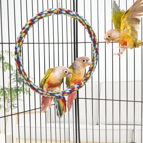 Bird Rope Swing - Colorful Perch Climbing Toy for Parrots, Budgie, Cockatiel, Cockatoo, Conure (M, 10.4 inch)