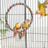 Bird Rope Swing - Colorful Perch Climbing Toy for Parrots, Budgie, Cockatiel, Cockatoo, Conure (M, 10.4 inch)