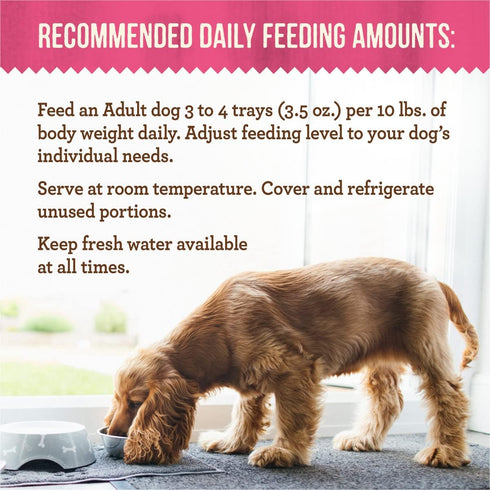 Merrick Lil’ Plates Grain Free Dinner Duos, Soft Natural Wet Small Dog Food Variety Pack, Beef and Chicken, 2.6 lb. Tub
