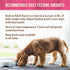 Merrick Lil’ Plates Grain Free Dinner Duos, Soft Natural Wet Small Dog Food Variety Pack, Beef and Chicken, 2.6 lb. Tub