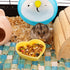 2 Pcs Hamster Food Bowl Hedgehog Ceramic Cute Shape Anti-Turning Food & Water Bowl for Hamster Hedgehog Gerbil Rat Guinea Pig (Yellow and Red)