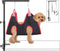 KELIXU Dog Grooming Arm with Clamps, Adjustable Table Arm with Hammock Harness, Black for Small/Medium Pets