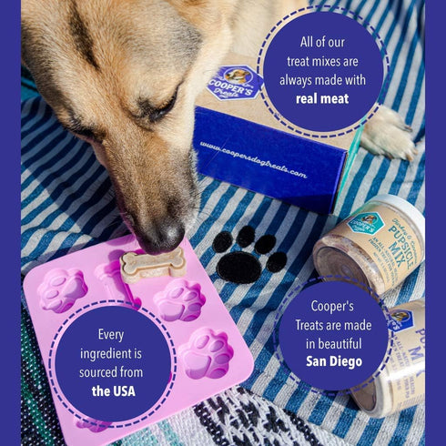 Cooper's Treats Pupsicle Starter Kit - Easy, Homemade Frozen Dog Treat Mix (Two Jars of DIY Healthy Mix)