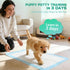 ZTAICOMGO 23"x17" 100 Count 200pcs 6-Layer Disposable Diaper Pads Pee Pads for Dogs Disposable Training Pads Plus