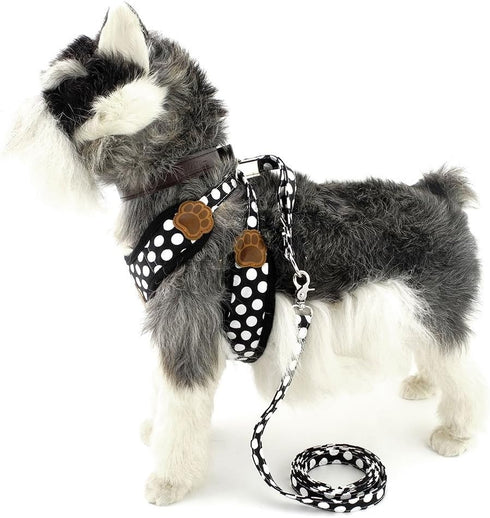 SMALLLEE_LUCKY_STORE Soft Mesh Nylon Vest Pet Cat & Dog Harness Leash Set, Black, S (Chest: 9.5"-13.5")
