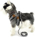SMALLLEE_LUCKY_STORE Soft Mesh Nylon Vest Pet Cat & Dog Harness Leash Set, Black, S (Chest: 9.5"-13.5")