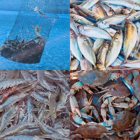 ieasky Trap,2 Packs Accessories,12.6X20.1inches Fishing Bait Crab Trap Minnow Trap Crawfish Trap Lobster Shrimp
