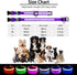 PcEoTllar Light Up Dog Collar for Night Walking - LED Rechargeable Color Changing, Glow in The Dark Waterproof Collars