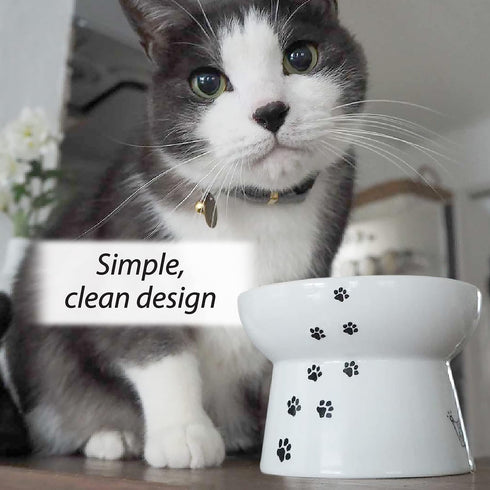 Necoichi Raised Stress Free Cat Food Bowl, Elevated Design, Dishwasher and Microwave Safe (Regular)