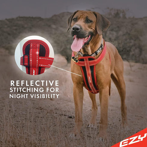 EzyDog Premium Chest Plate Reflective No-Pull Padded Comfort Dog Harness, Perfect for Training and Walking, Small, Red