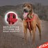 EzyDog Premium Chest Plate No-Pull Padded Comfort Dog Harness for Training and Walking (X-Small, Denim)