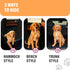 Hammock Active Pets Blue XL Dog Car Back Seat Cover, Waterproof Backseat Cover Protector for Truck Bench Rear of Sedans