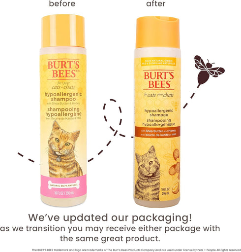 10 Oz Burts Bees for Pets Hypoallergenic Cat Shampoo with Shea Butter and Honey, Gentle Kitten Shampoo for Indoor Cats
