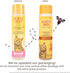 10 Oz Burts Bees for Pets Hypoallergenic Cat Shampoo with Shea Butter and Honey, Gentle Kitten Shampoo for Indoor Cats