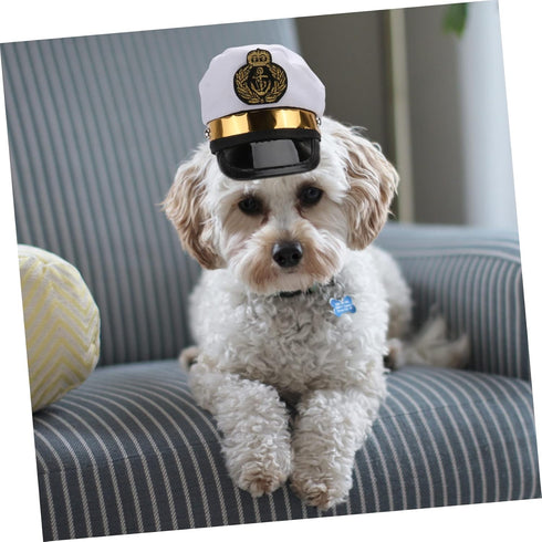 BESTOYARD Pet Headpiece Kitten Accessories, Dog Cap, Sun Hat, Cosplay Accessories for Halloween Costumes