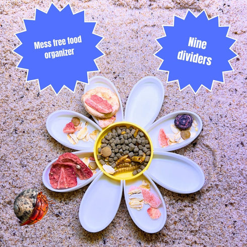 9 Hermit Crab Daisy Food Tray | Dividers Daisy Design | Great Feeder Dish for Crab, Lizard or Frog Terrariums | Made