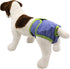 Pack of 3 Female Dog Diapers - Cat Waterproof Leak Proof Washable Panties for Small Medium Large Pets (M: Waist 16" -