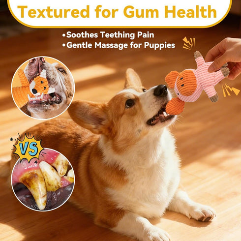 Generic 5 Pack Squeaky Plush Dog Toys: Tough Stuffed Toys - Chew Teething Crinkle Boredom Relief for Puppy Small Medium
