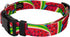 Country Brook Petz Deluxe Summer Melon Dog Collar, Tasty Collection (1/2 Inch, 2XS)