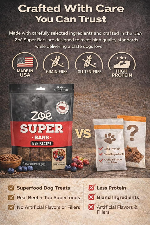 Hoiyen Packed 32 oz 2 (Pack 1) Zoe Super Bars Beef Recipe Dog Treats - Protein Snacks with Berries and Flax Grain