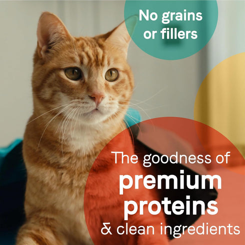 2.46 oz. 24), Canidae Pure Adore Premium Wet Cat Food, Tuna, Chicken & Mackerel in Broth, (Case of Grain Free