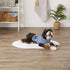 Bone Dry Pet Robe Collection, Embroidered Microfiber Bath Robe with Adjustable Closure for Dogs & Cats, Small, Blue